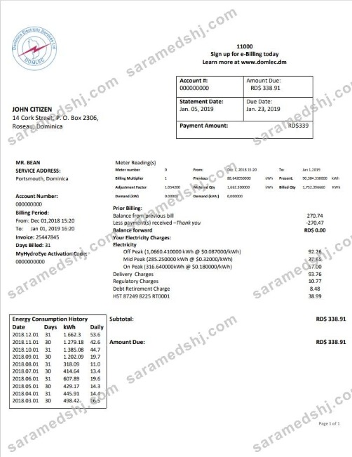 Dominica Electricity Services Limited electricity utility bill template in Word and PDF format